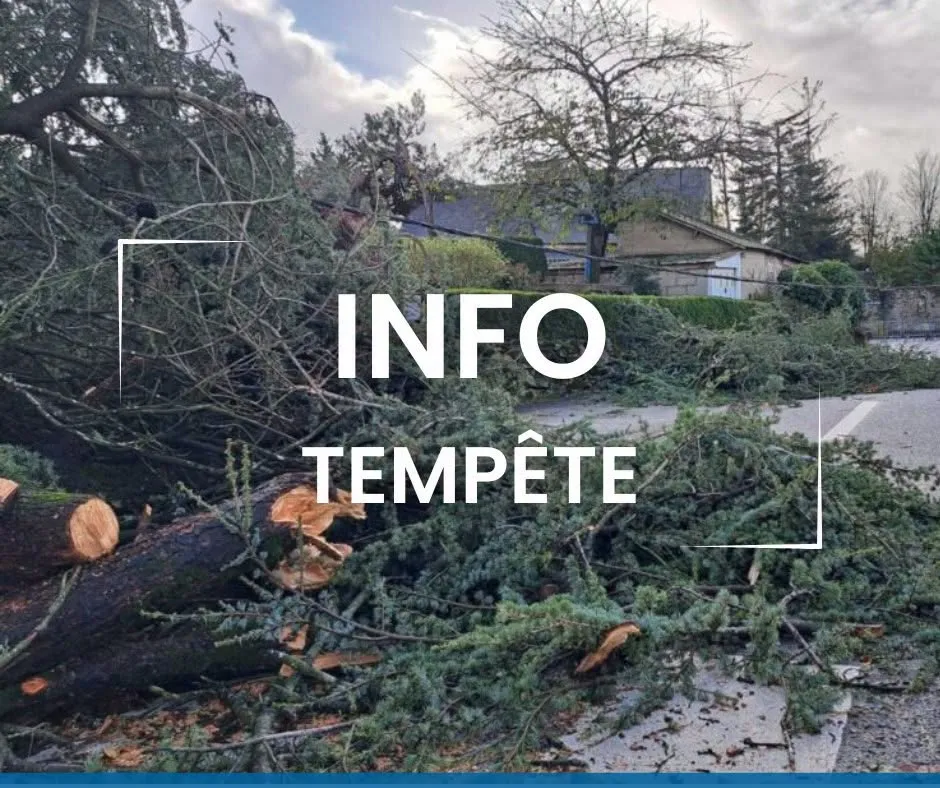 Tempête Austen : vigilance jaune dans les Yvelines, rafales jusqu'à 95 km/h