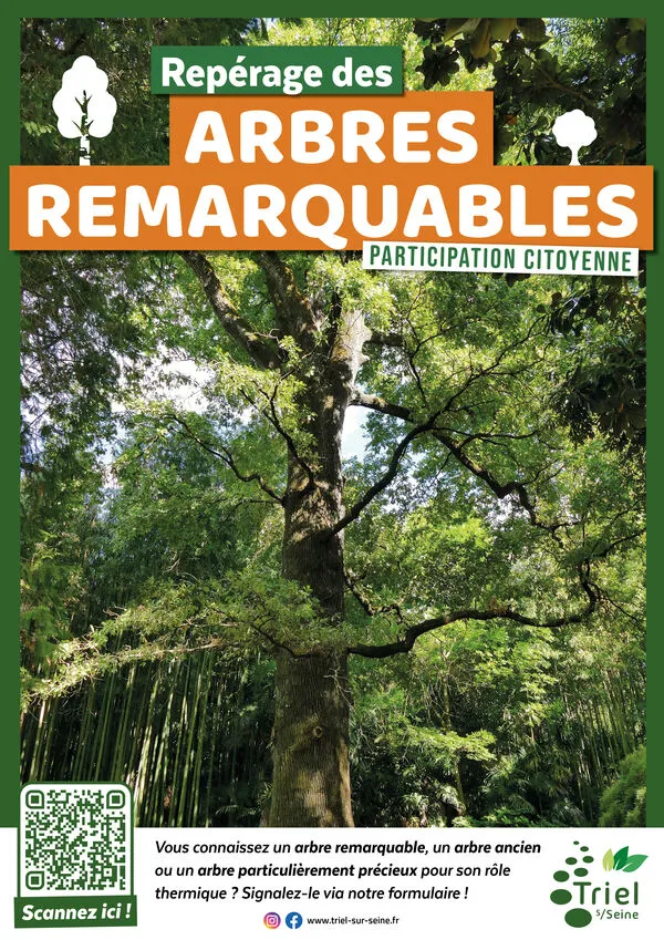 Triel-sur-Seine lance un appel aux citoyens pour recenser ses arbres remarquables